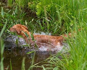 20170604-SEAW-0011.jpg