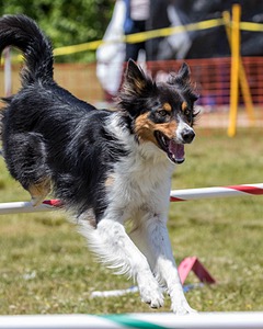 20180616-0751.jpg