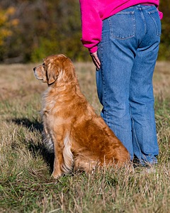 Josie