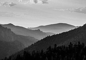 20200622-3143.jpg