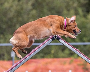 20200819-2344.jpg