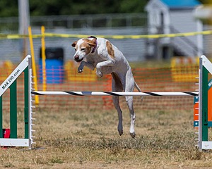 20160619-CCKC-1360.jpg