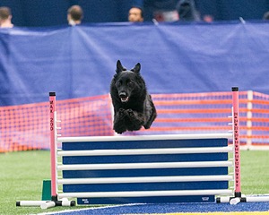 20150322-LEAP-0411.jpg