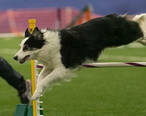20150321-LEAP-0881.jpg