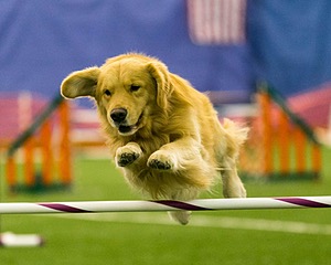 20150321-LEAP-0515.jpg