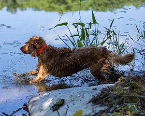 20220604-SHW-2450.jpg