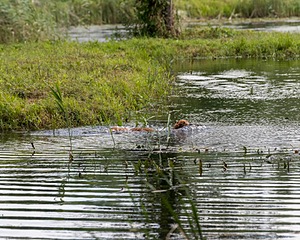 20200809-SHW-0066.jpg