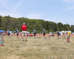 20150612-CCKCMC-0062.jpg