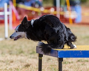 20160618-CCKC-0198.jpg