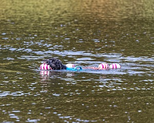 20210912-WWD-0249.jpg