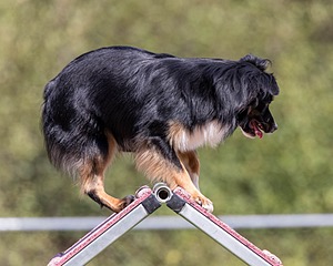 20200819-2186.jpg