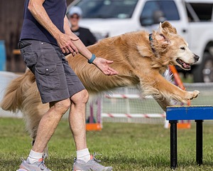 20230917-PVKC-2827.jpg