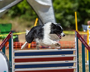 20160619-CCKC-1336.jpg