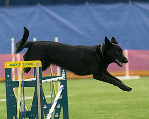 Dash Mathieu