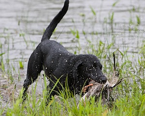 20080531-HRW-1027.jpg