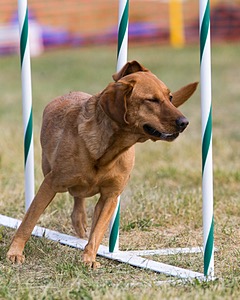 20150614-CCKC-0067.jpg