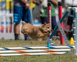 20200819-1049.jpg