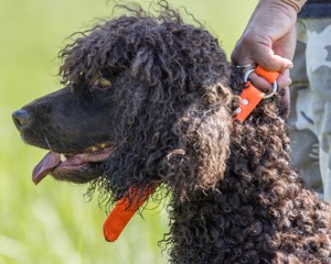 Ghillie Kezer