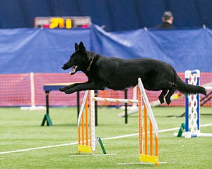 Dash Mathieu