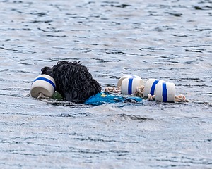 Boaty Bellicose