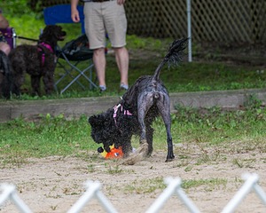 "Tessa" & Patty