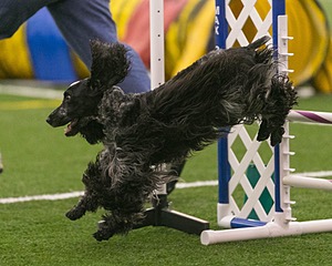 20150321-LEAP-0353.jpg