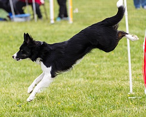 20160515-NEAT-1329.jpg
