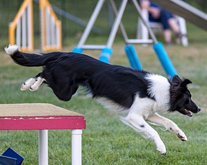 20200819-3010.jpg