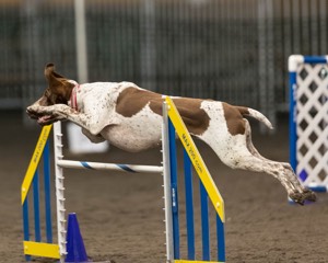 Faith Gamache