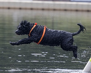 Rio Abbruzzese