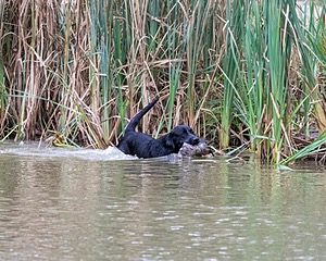 20150913-SEAW-0688.jpg