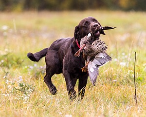 Gunny Fisher