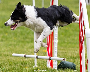 20160515-NEAT-1340.jpg