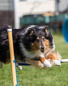 20200819-2449.jpg