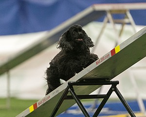Lucy Berardino