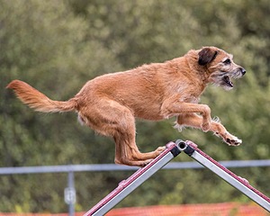 20200819-2362.jpg