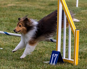 20200819-0132.jpg