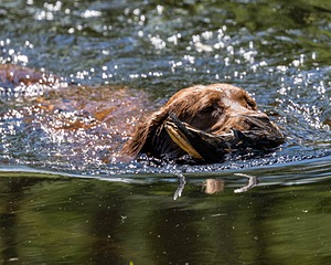20170716-WCXW-1279.jpg