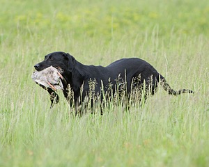 20080531-HRL-0369.jpg