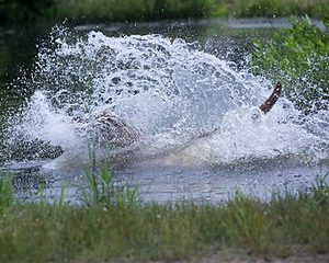20130713-MHB2-0143.jpg
