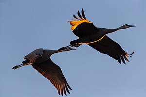 20151205-0858.jpg