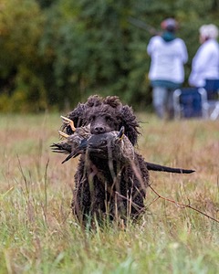 Ghillie Kezer