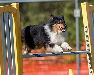20200819-2615.jpg