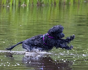 20210912-MWD-0087.jpg