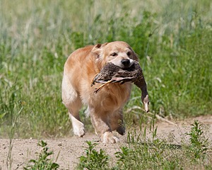 20130602-SEAL-0255.jpg