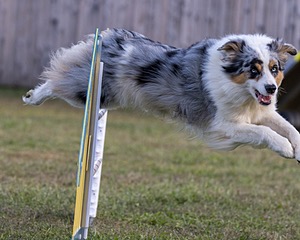 20230916-PVKC-1719.jpg