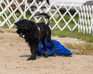 20210912-WWD-0318.jpg