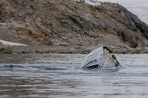 20260320-0077.jpg
