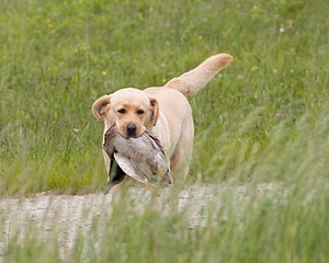 20080531-HRL-0409.jpg