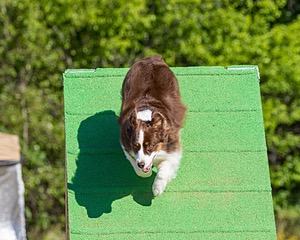 20160619-CCKC-0134.jpg